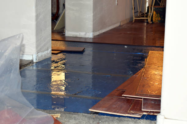 Professional Sewage Cleanup technician working in Oswego, IL